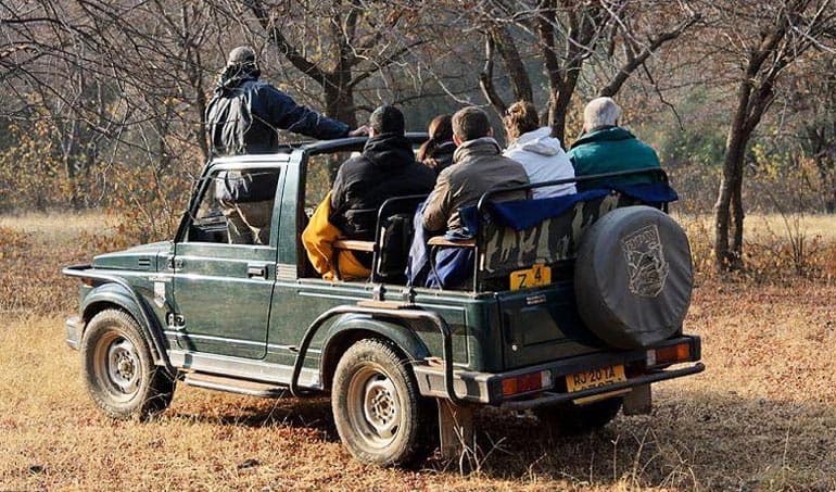 Jeep Safari